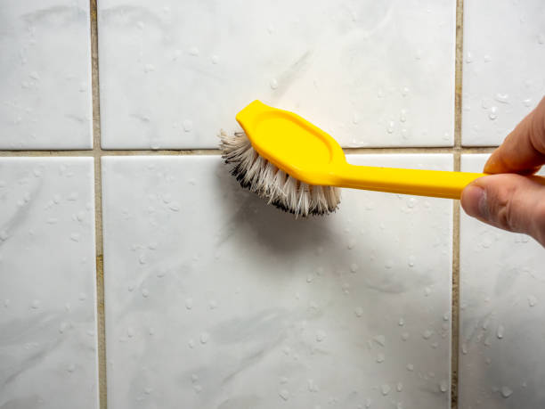 Certified Mold Removal in Taylors, SC