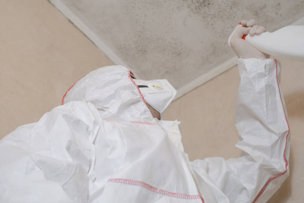 Best Professional Mold Removal  in Taylors, SC